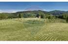 Teren 20.170mp | Livada | Suncuius, Bihor - 10