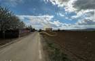 De vanzare doua loturi de teren in Fantanele-Bacau