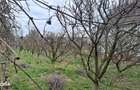 RECO Casa de vanzare in Inand - 2