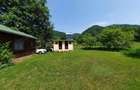Cabana de vanzare: Ibanesti - Zimti intr-o zona de vis, pe malul apei - 6