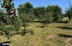 Casa de vanzare Draguseni - suceava - 5