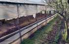 Vand casa ( teren 2.000 mp) in sat Pietrele, jud. Giurgiu - 2