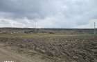 Oportunitate investitie Teren intravilan in Bacau - 8
