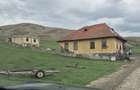 Stejeris 4 Ha din asta 5000 Quadratmeter intravilan - 4