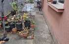 Proprietar vand casa la curte