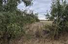 Teren Intravilan locuinte langa padure Pruni, Magurele, Ilfov,