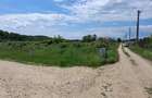 Vand teren Domnesti-Teghes - 5