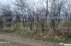 TEREN INTRAVILAN VEDERE PANORAMICA 3781 MP La 2 km de Manas - Schiulesti (Prahova)