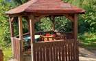 Cabana Spa?ioasa Sta?iunea Trei Ape , jud. CARA?-SEVERIN - 3