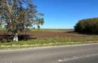 Teren intravilan, 8677 mp, direct acces DN3 - 4