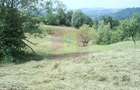 Teren extravilan de vanzare in Telega - 2