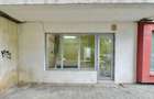 Spatiu comercial nicolina - 4