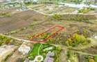 Teren 3000 mp in Snagov zona in dezvoltare, aproape de padure