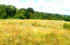 12,4 ha teren comasat,jud.Sibiu
