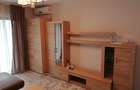 Proprietar ofer apartament 2 camere pentru inchiriere zona Mehala - 4