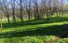 Teren intravilan com.Drajna, sat Catunu, 12 km de Valenii de Munte, jud. Prahova - 7