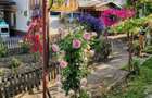 Casa comuna Balteni, Gorj - 5