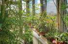 Penthouse 5 Camere - 325 m.p. | Parcare | Zona Matei Voievod - 7