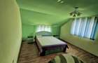Casa P+M cu 1500 mp teren intravilan in Valea Mare - 3