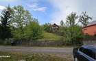 Teren vanzare Valea Doftanei - 2