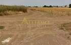 Teren 330 mp,la 250-300 m de alte case.Zona in dezvoltare. - 4
