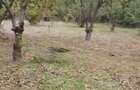 Loc intravilan de vanzare - 5