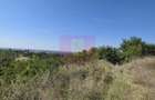 Teren 4.029 mp de vanzare, zona Crama Seciu