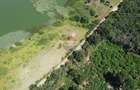 Teren 2404 mp la Lacul Murani langa padure concept Green and Blue - 2