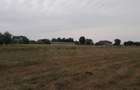 Vand teren Ciurbesti intre padure si case - 2