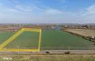 Teren pentru proiect de case in Buftea, cu deschidere la lacul Buciume - 1