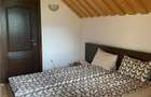Cabana la munte, Colibita, jacuzzi, foisor - 12