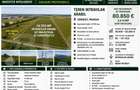 Teren Intravilan Potential Investitie - 2