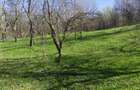 Teren intravilan com.Drajna, sat Catunu, 12 km de Valenii de Munte, jud. Prahova - 4