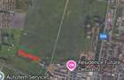Vand Teren 6500 m ,locuin?e colective.55 Euro mp in Giroc aproape de viitorul complex al bisericii . - 1