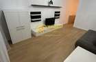 Apartament 2 camere Visani - 9