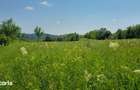 Teren de vanzare 6.352 mp Slavu (Prahova), extravilan, cale de acces - 2