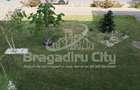 SUPER OFERTA Apartament 4 cam langa Anaf Bragadiru - 7