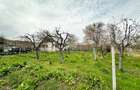 Casa P+1 cu teren 2.470 mp, livada, anexe ?i gospodarie completa Mir?e?ti, Sapata, Arge? - 2