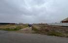 600 mp intravilan Ghercesti str. Primaverii