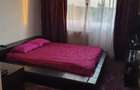 Apartament 2 camere_conacul Castanilor - 8
