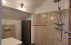 Mega Mall - Baiculului - Vila P + 1 + M - 17