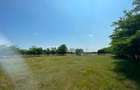Teren intravilan 5.000 mp, front 50 m, zona Ancora BHS Trans - Constanta - 6