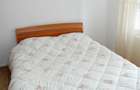 apartament de inchiriat in Dragasani - 3