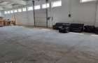 Inchiriere depozit 656 mp,cu platforma betonata,Deva - 8