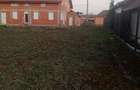 Casa de vanzare Peciu-Nou - 5