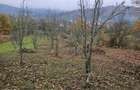 Teren de vanzare 6 mp - 5