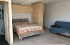 Apartament 1 cameră de închiriat – Gruia - 3