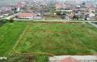 Teren intravilan | 600 mp | Front 20 m | Botiz