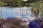 RATE Pensiune 12 cam Superba*** malul Lac Mocearu piscina ,16277mp - 36