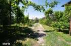 Casa de vanzare teren 2000mp si spatii comerciale Galbinasi Calarasi - 9
